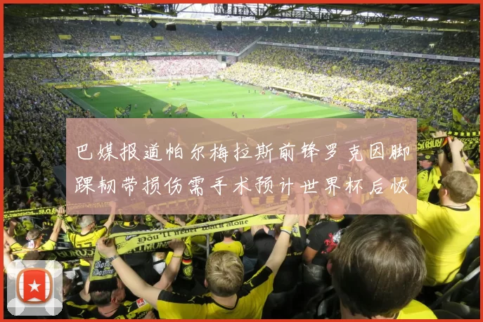 巴媒报道帕尔梅拉斯前锋罗克因脚踝韧带损伤需手术预计世界杯后恢复