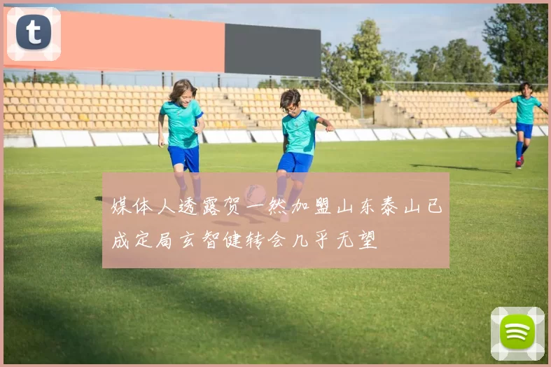 媒体人透露贺一然加盟山东泰山已成定局玄智健转会几乎无望